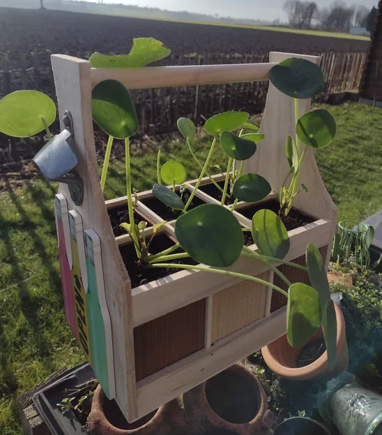 Chậu hoa nhỏ trong giá đựng chai (Bloempotjes in flessendrager) - Image 1