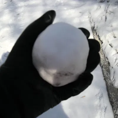Dụng cụ làm bóng tuyết - Snowball Maker
