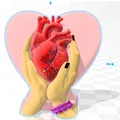 My Heart Is Yours, Hold My Heart – Tượng điêu khắc biểu tượng 3D in được STL - Thumbnail 2
