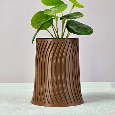 Bình zefiro - Homee Creations