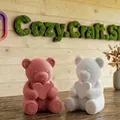 Gấu Teddy Ôm Trái Tim – Quà Valentine/Yêu Thương Dễ Thương - Thumbnail 2