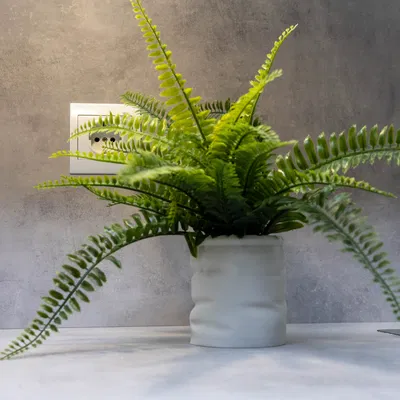 Puffy SquishCup Pencilholder – Ly đựng bút phồng tối giản