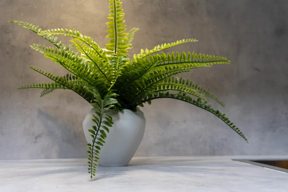 Ống cắm bút hình trái tim Soft Matter - Image 5