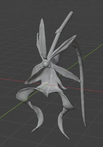 Dendrophylax lindenii (American Ghost Orchid) – Lan ma Mỹ - Image 2