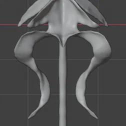 Dendrophylax lindenii (American Ghost Orchid) – Lan ma Mỹ