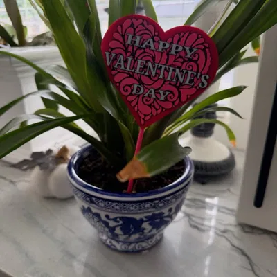 Bảng/Que cắm chậu "Happy Valentine’s Day" – Trang trí/Quà tặng
