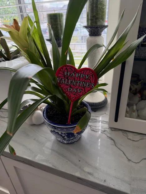 Bảng/Que cắm chậu "Happy Valentine’s Day" – Trang trí/Quà tặng - Image 9