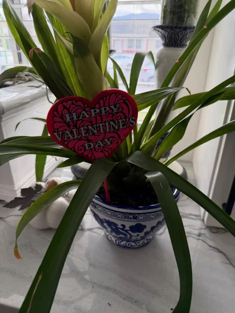 Bảng/Que cắm chậu "Happy Valentine’s Day" – Trang trí/Quà tặng - Image 10