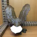 Eagle (Đại bàng) – 2 phiên bản cho máy in 1 filament & MMU - Thumbnail 4