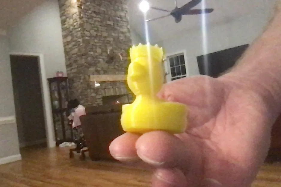 Vịt Nhà Vua (cần supports) - Image 1