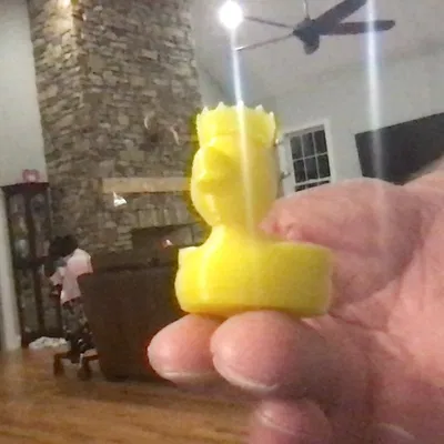 Vịt Nhà Vua (cần supports)