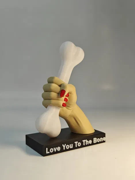 Quà Valentine hài hước – Love You to the Bone - Image 2