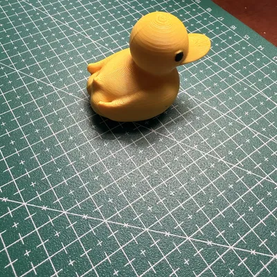 Vịt cao su mông nhỏ (Little butt rubber ducky)