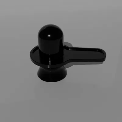 Shivlingam