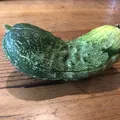 Dưa Leo Muối (The Pickling Cucumber) - Thumbnail 2