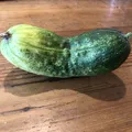 Dưa Leo Muối (The Pickling Cucumber) - Thumbnail 3