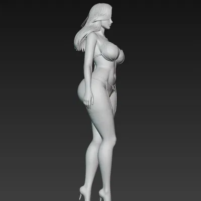 Cô gái sexy trong đồ lingerie 3