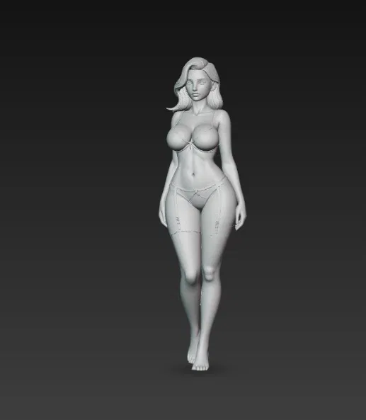 Cô gái gợi cảm trong đồ lót 4 - Image 5