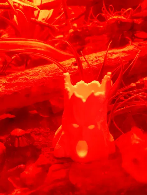 Gốc Cây Cho Isopod & Millipede: Evil Stumps (Vol. 1) Creepy Trees Dead Roots - Image 2