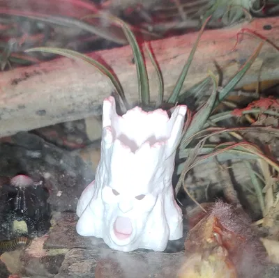 Gốc Cây Cho Isopod & Millipede: Evil Stumps (Vol. 1) Creepy Trees Dead Roots