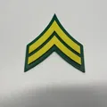 Tất cả cấp bậc U.S. ARMY - Thumbnail 3