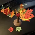 Lá Mùa Thu Rơi (Fall(ing) Leaves) - Thumbnail 9