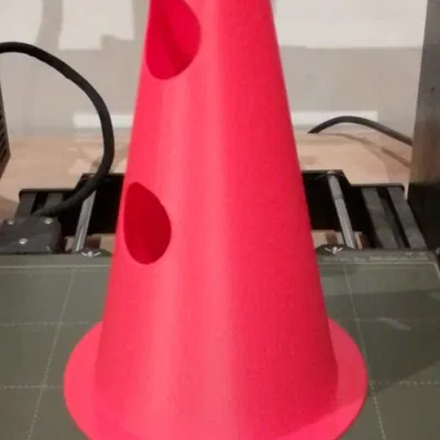 Cone có lỗ cho phục hồi chức năng chó (canine rehabilitation)