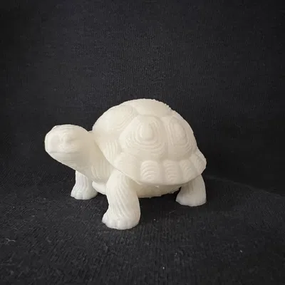 Tượng Rùa (Turtle Sculpture)