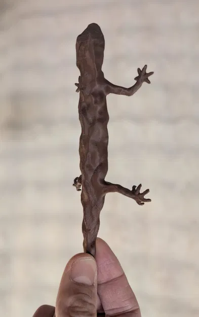 Kỳ giông nướng (fanart Spirited Away) - Image 1