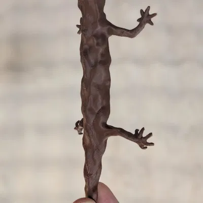 Kỳ giông nướng (fanart Spirited Away)