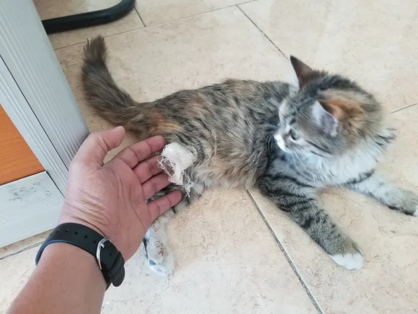 Chân Robot Cơ Khí Realistic – 3D Printable - Image 2