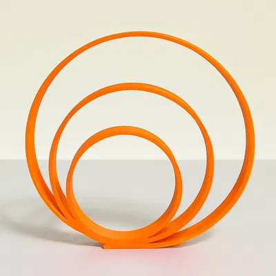 Echo - Họa tiết hình học tròn lệch tâm (ornament)