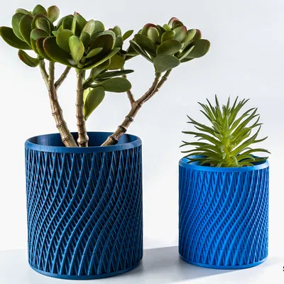 Vortex ⬝ Planter (Chậu trồng cây lưới xoắn)