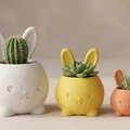 Chậu Cây Thỏ ♡ – Chậu Easter Dễ Thương – Trang Trí - Thumbnail 1