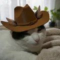 Nón cao bồi cho mèo (Cowboy Hat for Cat) - Thumbnail 1