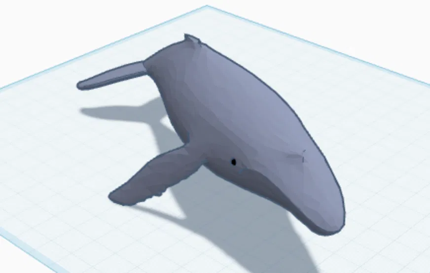 Cá Voi Sát Thủ (Orca Whale) - Image 1