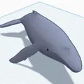 Cá Voi Sát Thủ (Orca Whale) - Thumbnail 1