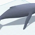 Cá Voi Sát Thủ (Orca Whale) - Thumbnail 2