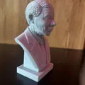 Nelson Rolihlahla Mandela (Madiba) – Bust - Thumbnail 3