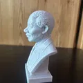Nelson Rolihlahla Mandela (Madiba) – Bust - Thumbnail 5