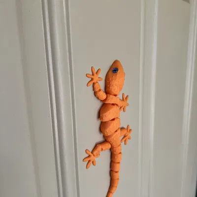 FDMJoint Mediterranean House Gecko – Thằn lằn nhà Địa Trung Hải khớp linh hoạt