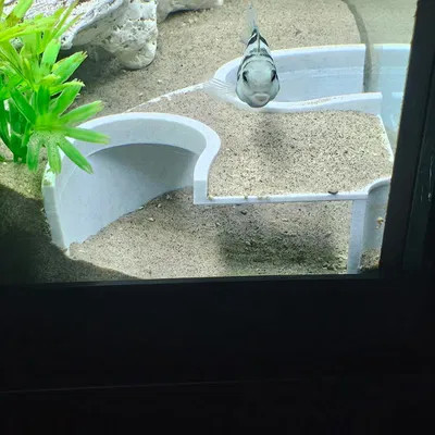 Aquarium Cave – Hang góc cho bể cá