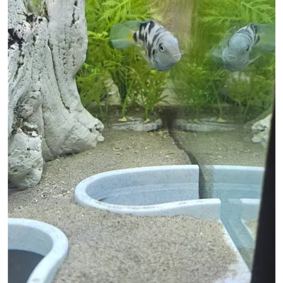 Aquarium Cave – Hang góc cho bể cá