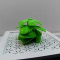 Venusaur Pokémon - Thumbnail 2