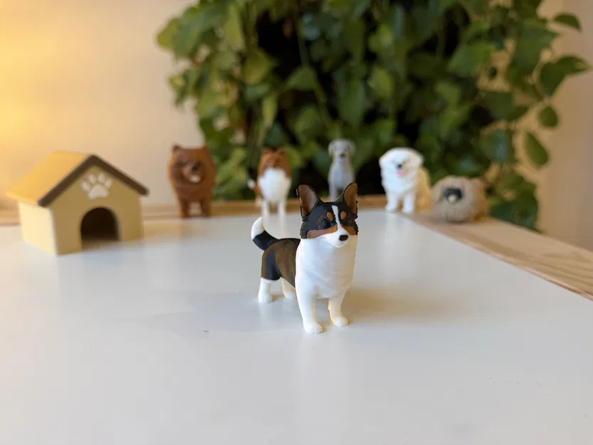 Pembroke Welsh Corgi (mô hình màu realistic) - Image 3