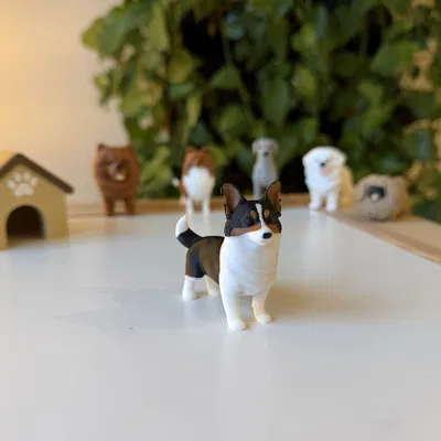 Pembroke Welsh Corgi (mô hình màu realistic)