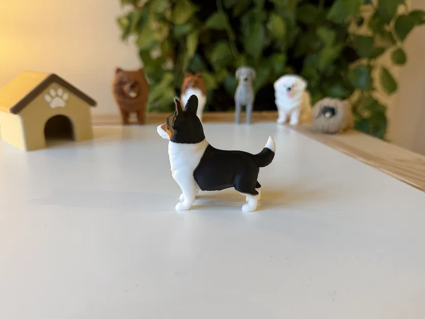 Pembroke Welsh Corgi (mô hình màu realistic) - Image 4