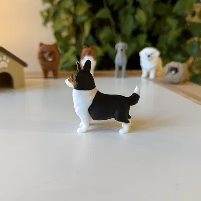 Pembroke Welsh Corgi (mô hình màu realistic)