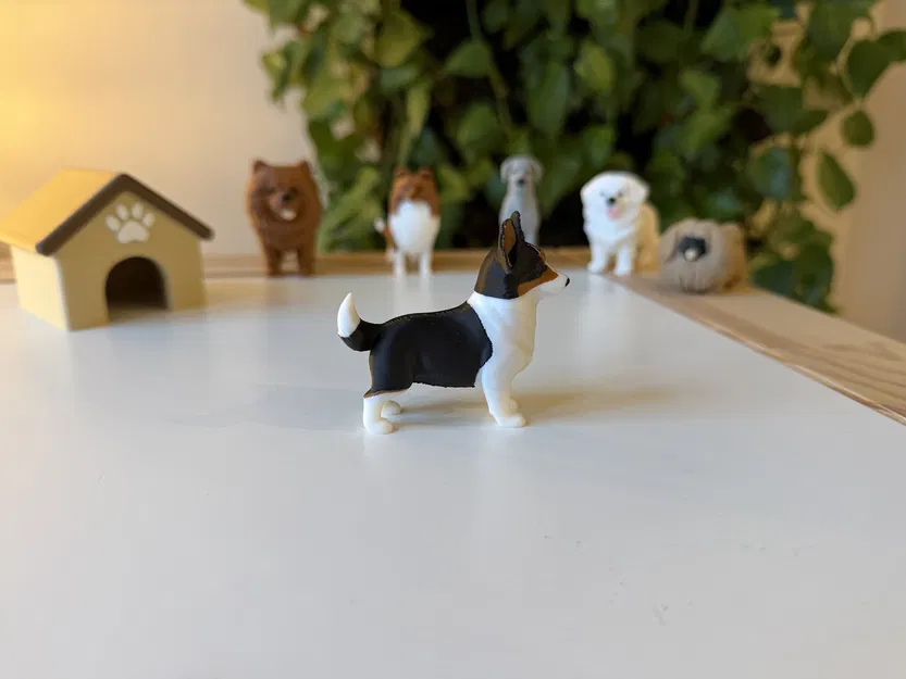 Pembroke Welsh Corgi (mô hình màu realistic) - Image 5