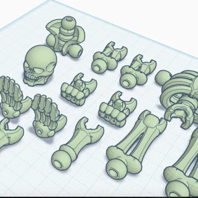 Mô hình Skeleton 13 Figure